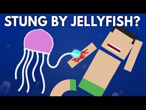 What Happens If You Get Stung By a Jellyfish? - YouTube