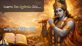 Bhagavad Gita chapter 5 verse22|karma sanyasa yoga|జ్ఞాని వాటిలో మునిగిపోడు…|భవద్గీత 5.22|