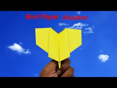 How To Make a Paper Flying Bird Plane