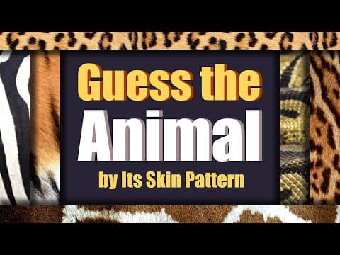 Animal Superlatives Quiz for Kids! | Who’s the GOAT?