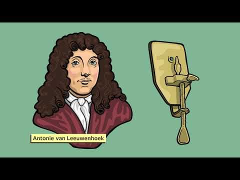 A Brief History Of The Microscope