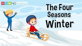 The Four Seasons – Winter