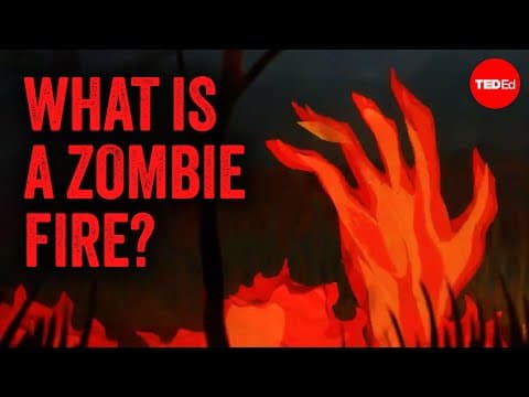 How are these fires burning underground? - Emma Bryce - YouTube