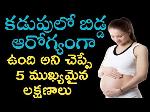 healthy pregnancy symptoms in telugu