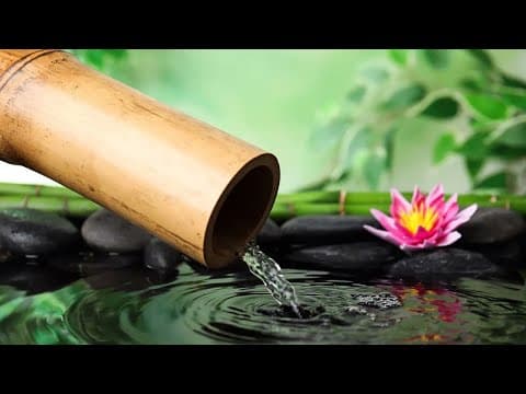 Relaxing Music With The Sound Of Nature's Bamboo Water Fountain