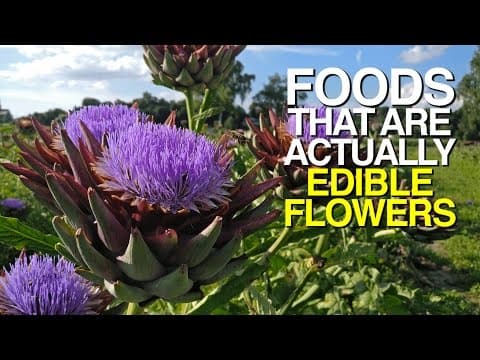 Foods That Are Actually EDIBLE FLOWERS