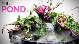 Build a mini pond with misty waterfall