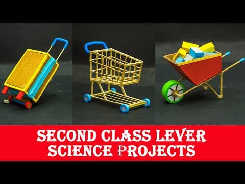 Second Class lever Science Projects