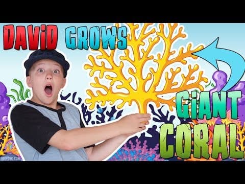 David Grows Rainbow Coral!