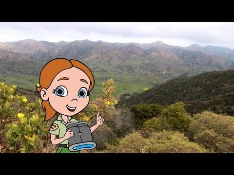 Olivia & Max and the Channel Island Bald Eagles - YouTube