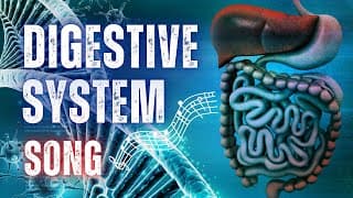 The Digestive System Song with Lyrics