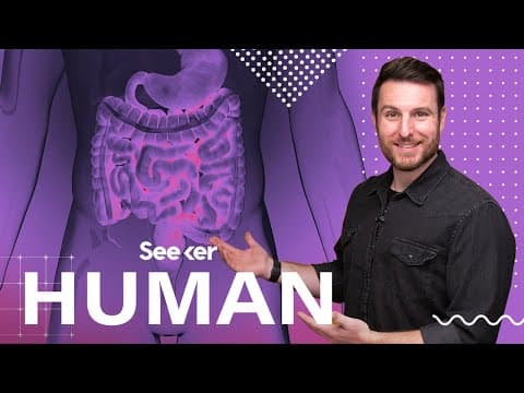 How Your Digestive System Fights Pathogens