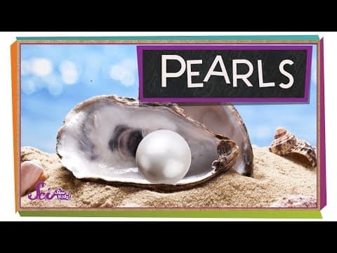 Where do pearls come from?