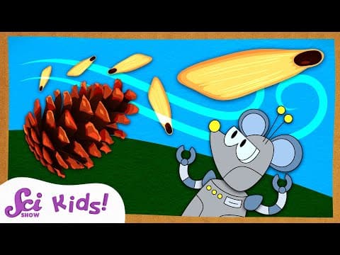 What's Inside a Pinecone? | Winter is Alive! | SciShow Kids - YouTube