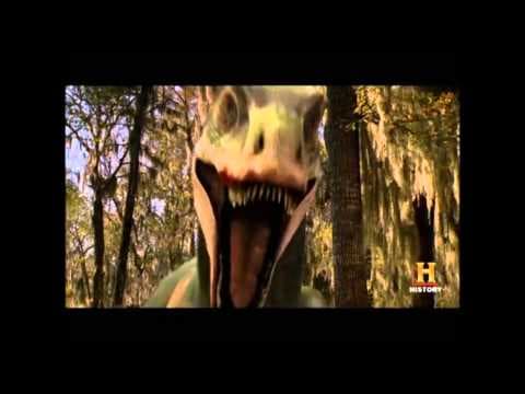 Albertosaurus vs Pachyrhinosaurus