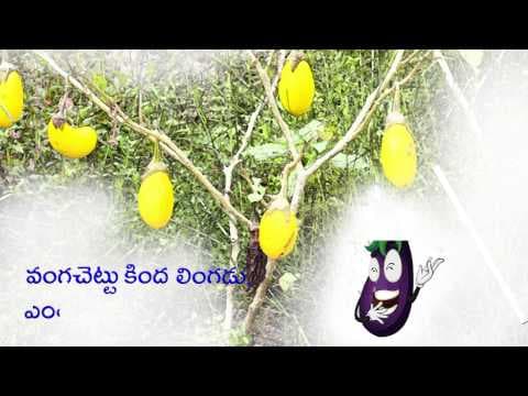Podupu kathalu telugu riddles episode 13