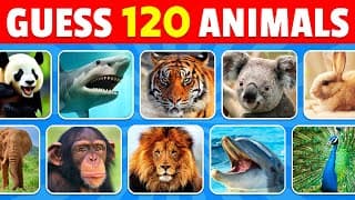 Guess 120 Animals in 3 Seconds