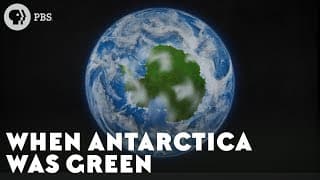When Antarctica Was Green