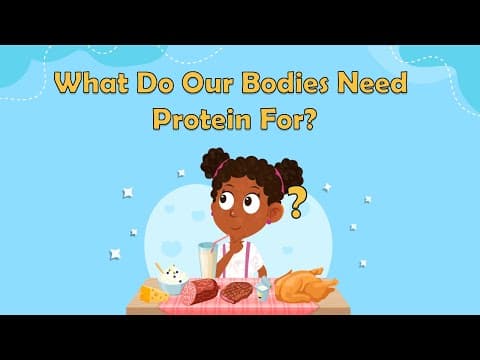 What Do Our Bodies Need Protein For? - Science Facts For Kids - Biology for Kids