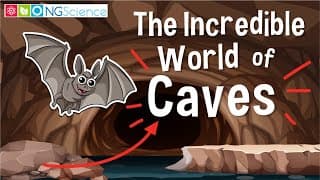 The Incredible World of Caves