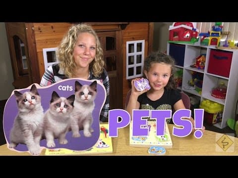 Learn English Colors and Animals Puzzles