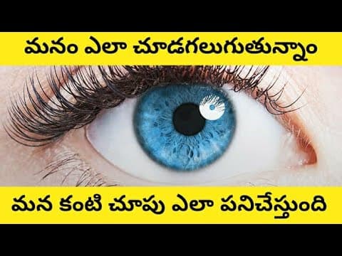 How the human eye working in Telugu | How our eye works in Telugu