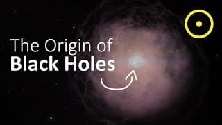 Not Every Black Hole Comes From A Star Remnant