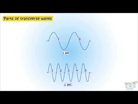Sound (Part-2)|Transverse and Longitudinal Waves | Science