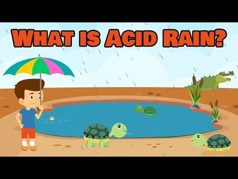 What is Acid Rain? | Acid Rain | Video for Kids