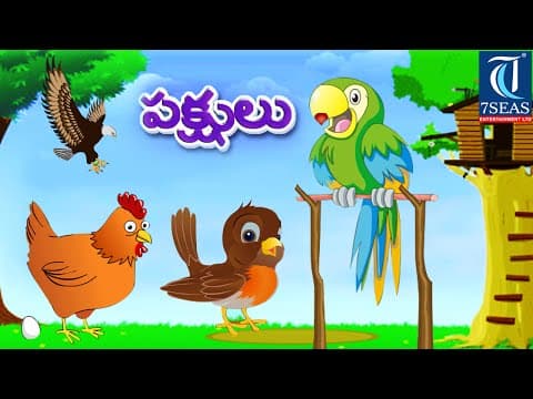 Learn types of birds - animated video for kids - telugu animation video for children