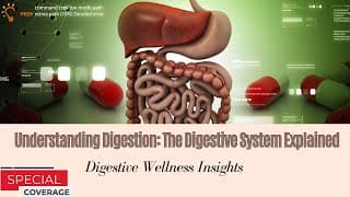 Digestive Dynamics Exploring the Wonders of Our Body