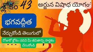 భగవద్గీత మొదటి అధ్యాయం 43వ శ్లోకం|chapter 1 verse 43|divine touch telugu |bhagavathgita in telugu