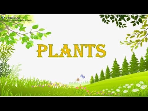 Plants for kids l Parts of plants for kids