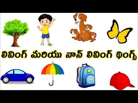 లివింగ్ మరియు నాన్ లివింగ్ థింగ్స్ -Living and Nonliving Things For Kids Pre School Videos In Telugu