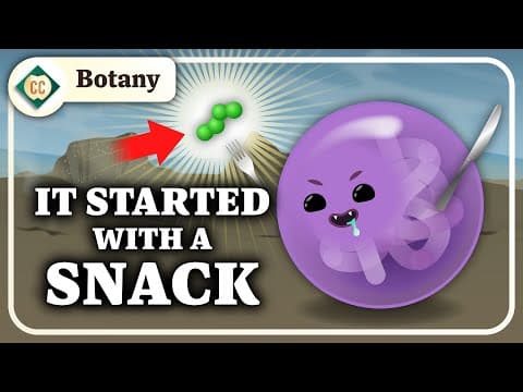 How Did Plants Evolve?: Crash Course Botany #6