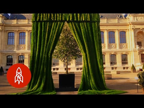 Growing portraits with grass - that’s amazing