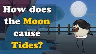 How does the Moon cause Tides  more videos  aumsum kids science education Children