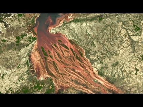 How Deforestation Looks From Space | Earth From Space