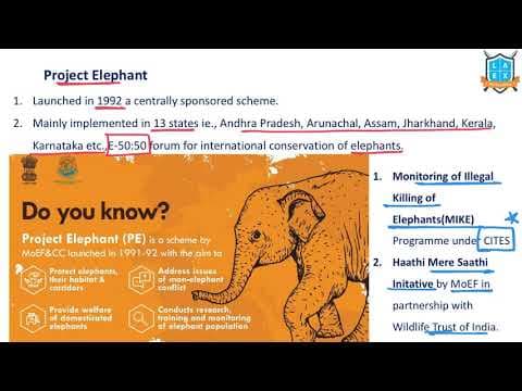 What is Project Elephant ? || Project Elephant అంటే ఏమిటి?