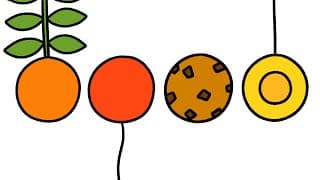 The Circle Song  A song about the circles all around us  Miss Molly Sing Along Songs