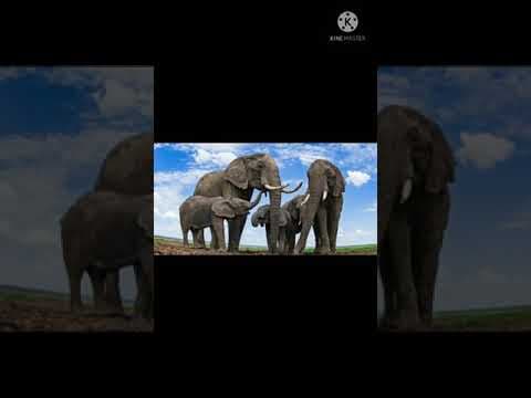 Interesting facts about burj khalifa