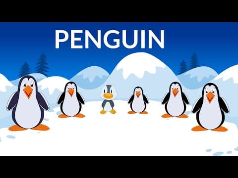 Learn about penguins - penguin information