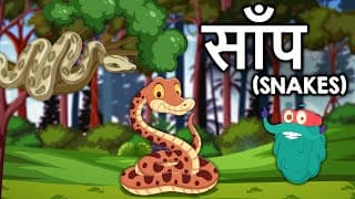 स्नेक | साँप | Snakes Video In Hindi | Dr Binocs Show | Snake Facts For Kids |Reptiles |Binocs Hindi