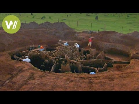 Secret Megalopolis of Ants Uncovered - Truly a Wonder of the World ! - YouTube