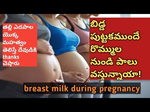 pregnancy సమయంలో రొమ్ముల నుంచి పాలు రావటం సాధ్యమేనా/breast milk in pregnancy