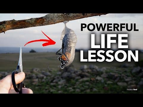 Unforgettable Story of The Butterfly and The Cocoon - Struggles Give Us Strength