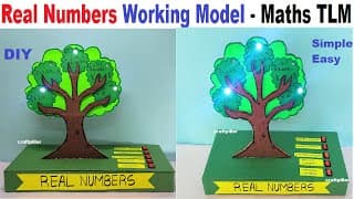 real numbers working model maths tlm for exhibition - diy
