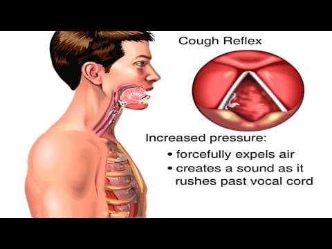 Why Do We Cough?