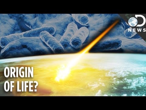 Could Life On Earth Have Come From A Comet