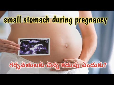 small stomach during pregnancy time in Telugu/గర్భవతులకు చిన్న కడుపు ఎందుకు?